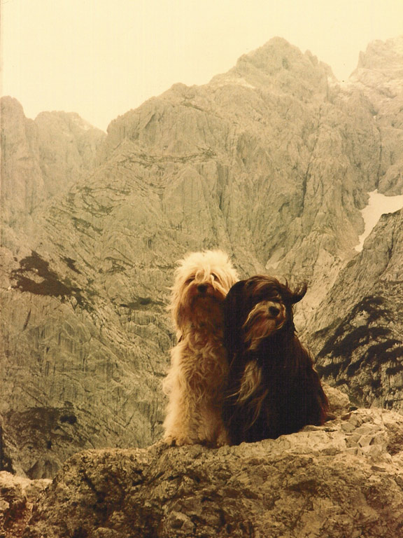 Jina und Charila 1981 auf dem Stripsenjoch (1.577 m) (medium)