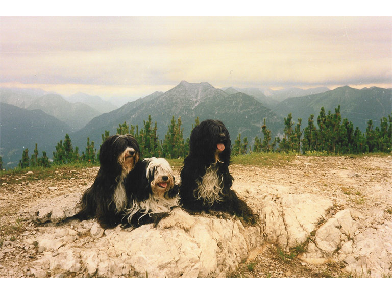 Charila, Yusha und Sabishii 1987 auf dem Wank (1.780 m) (medium)