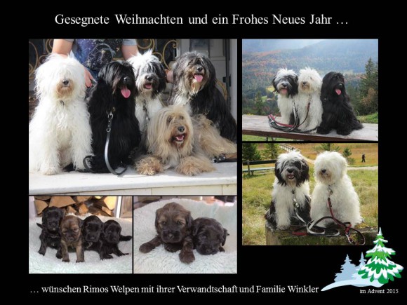 Weihnachtsgruesse-2015